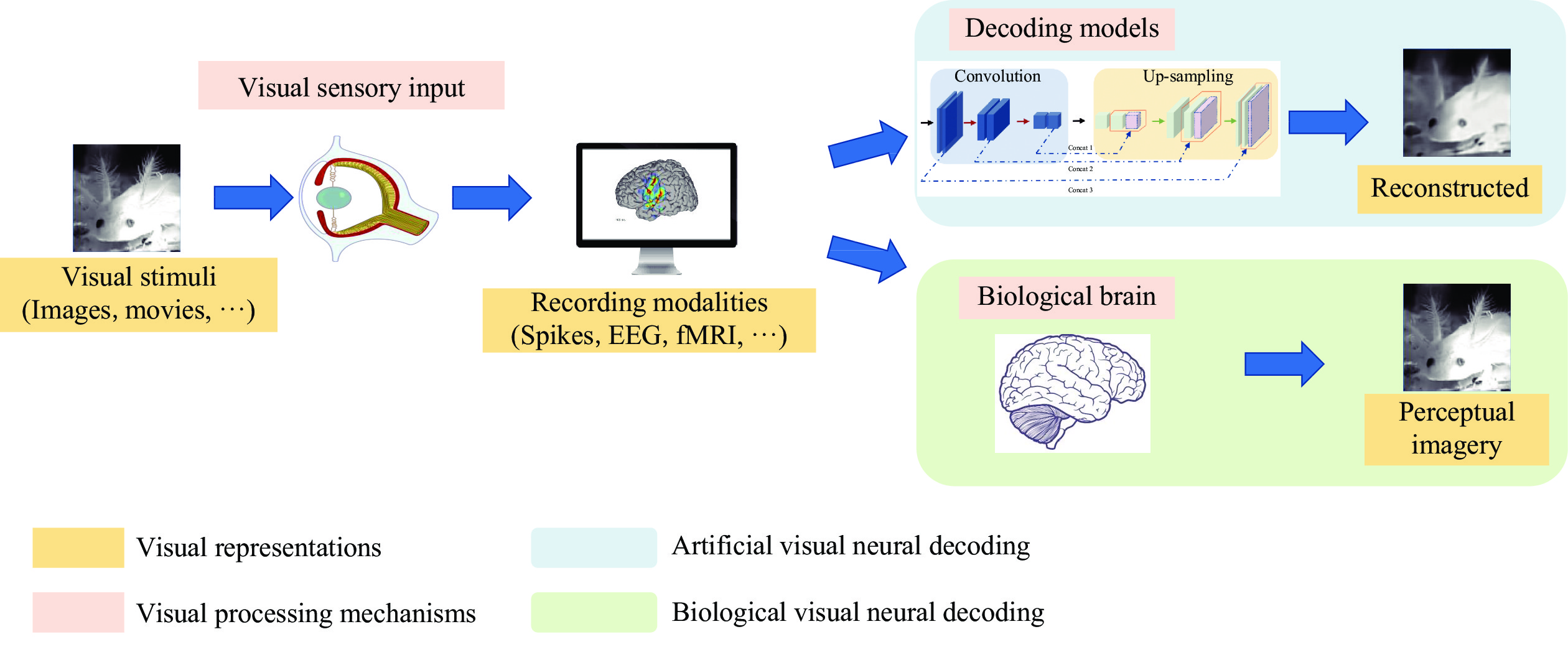 Neural Decoding Of Visual Information Across Different Neural Recording