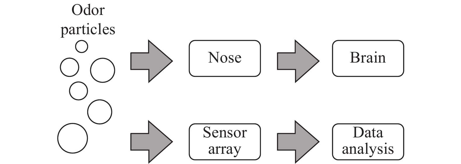 Electronic Nose and Its Applications: A Survey